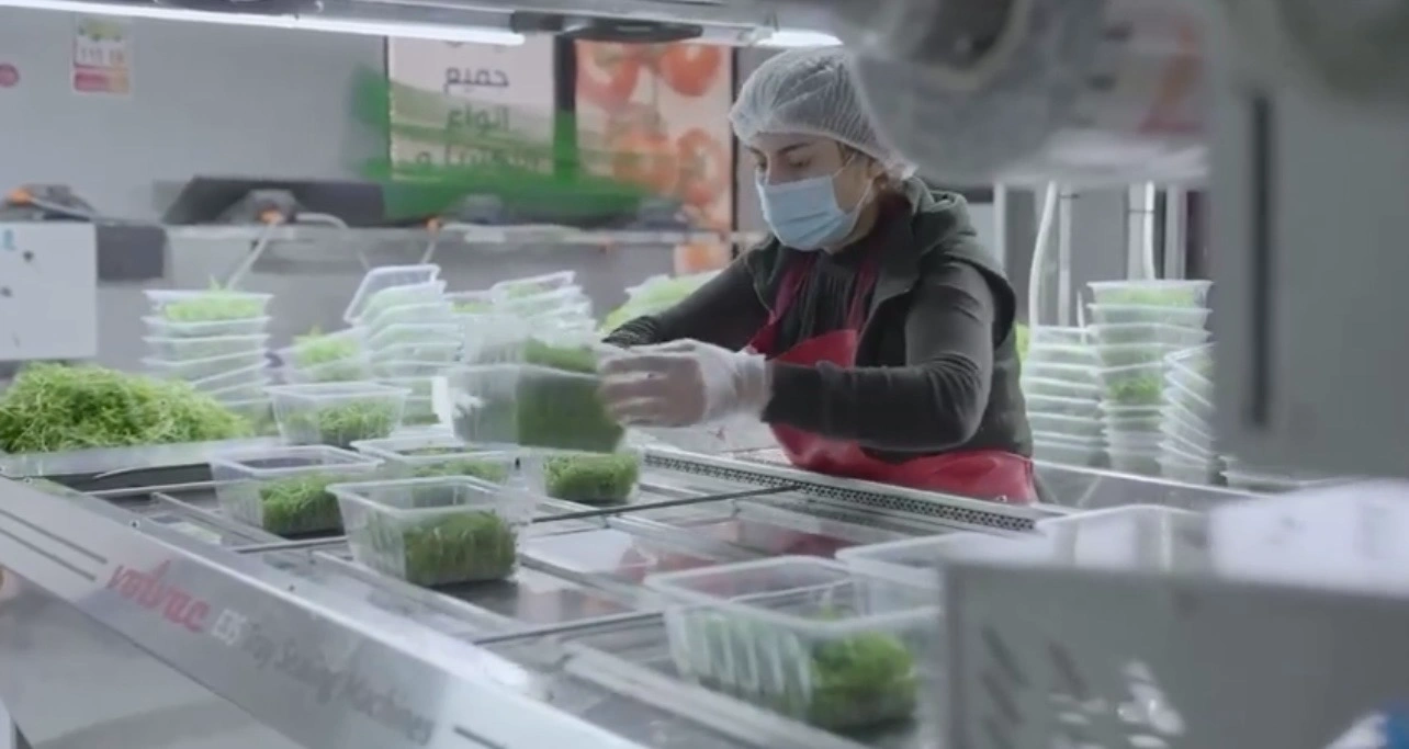 TAMATA Fresh Processing