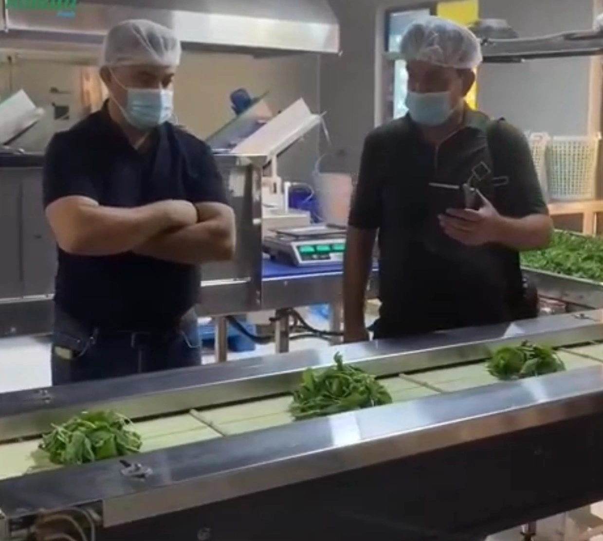 TAMATA Fresh Technology