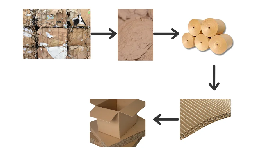 Technical layout and process flow of recycled carton factory setup in Sulaymaniyah by Sahi Rasa industrial consulting team
